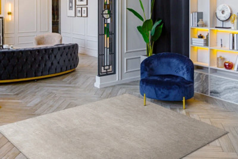 Image of RugsX Carpet Visco Silver 3 Plush, Imitation Of Rabbit Fur 60X100 Cm