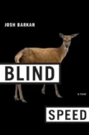 Image of blind speed