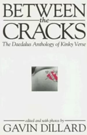 Image of between the cracks the daedalus anthology of kinky verse