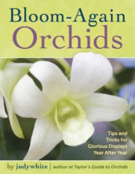 Image of Bloom-Again Orchids by Judywhite Book