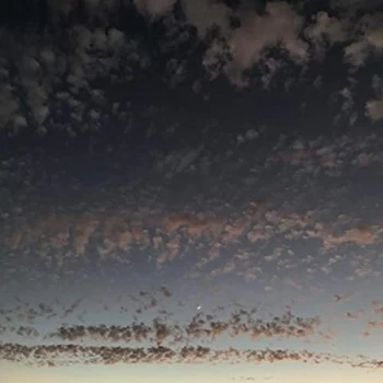 Image of K. Leimer - Found Objects CD