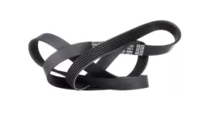 Image of DAYCO V-ribbed belt 6PK1538 Serpentine belt,Auxiliary belt VW,BMW,FORD,Golf IV Schragheck (1J1),Golf IV Variant (1J5),Bora Limousine (1J2)