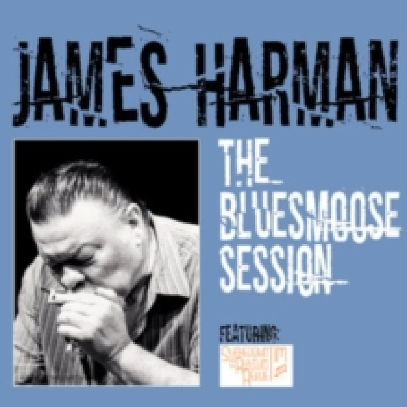 Image of The bluesmoose session CD / Album