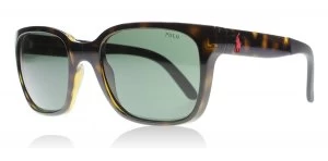 Image of Polo PH4089 Sunglasses Tortoise / Black 500371 54mm