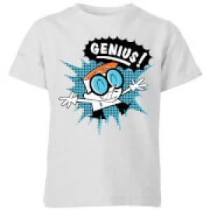 Image of Dexters Lab Genius Kids T-Shirt - Grey - 7-8 Years