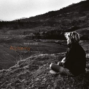 Image of David Sylvian - Alchemy: An Index Of Possibilities Vinyl