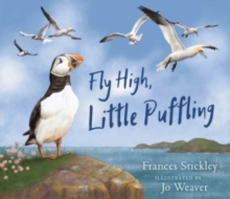 Image of Fly High, Little Puffling Paperback / softback