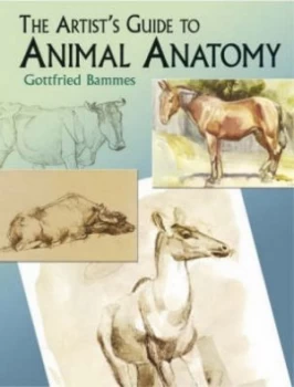 Image of The Artists Guide to Animal Anatomy by Gottfried Bammes Paperback
