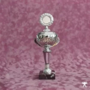 Image of Crash of the Web Era by Verner Vinyl Album