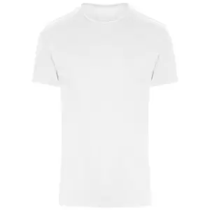 Image of AWDis Adults Unisex Just Cool Urban Fitness T-Shirt (XL) (Arctic White)