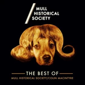 Image of Mull Historical Society - The Best Of Mull Historical Society/Colin MacIntyre Limited Edition Gold Vinyl