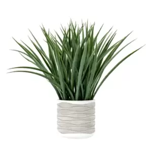 Image of Torrance Grass in Wavy Pot Large Grey