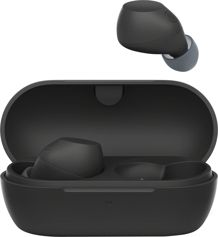 Image of Sony True Wireless Noise Cancelling Earbuds - Black