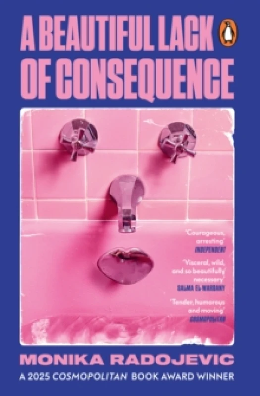 Image of A Beautiful Lack of Consequence Paperback / softback