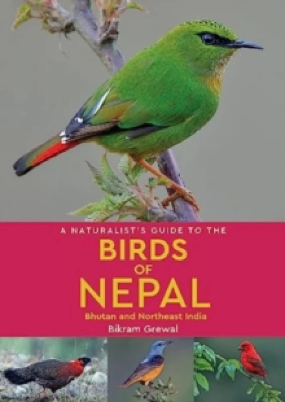 Image of A Naturalist's Guide to the Birds of Nepal Paperback / softback