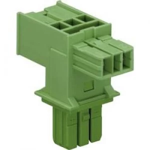 Image of Mains T distributor Mains plug Mains socket Mains socketTotal number of pins 2GreenWAGO