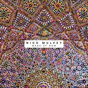 Image of Nick Mulvey - Wake Up Now Vinyl