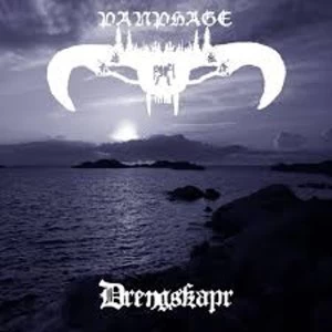 Image of Panphage - Drengskapr Vinyl