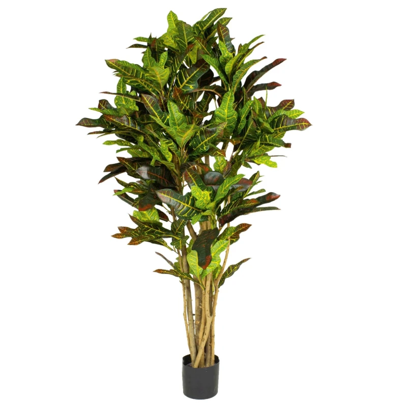 Image of N/A 150cm Artificial Croton Tree