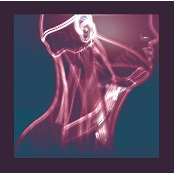 Image of Tales of Murder and Dust - THE FLOW IN BETWEEN CD