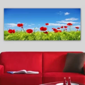 Image of YTY961713_50120 Multicolor Decorative Canvas Painting
