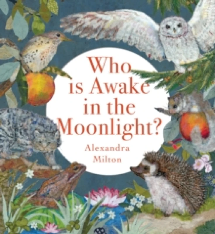 Image of Who Is Awake in the Moonlight? Hardback