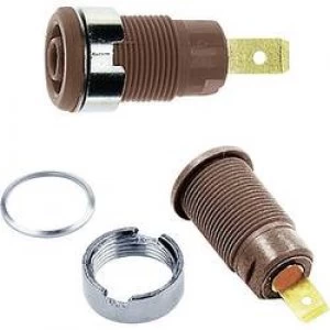 Image of Safety jack socket Socket build in Brown Staeubli