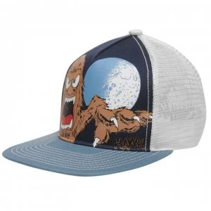 Image of Tony Hawk Fiend Cap Junior Boys - Blue