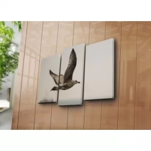 Image of 3NATPAT-43 Multicolor Decorative Canvas Painting (3 Pieces)