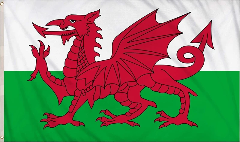 Image of Shatchi 8 X 5ft Welsh National Flags Events Pub BBQ Decorations for Rugby Cricket Football Sports 2023 World Cup Banner Fan Suppor Multi unisex