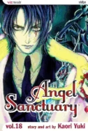 Image of angel sanctuary vol 18