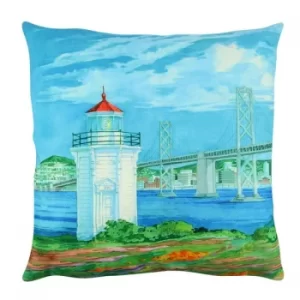 Image of A12573 Multicolor Cushion