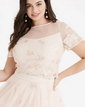 Image of Coast Neive Top