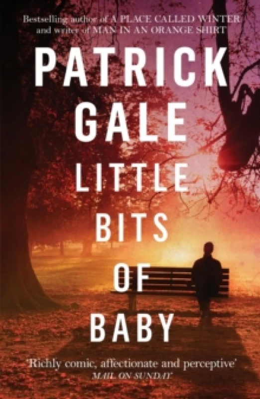 Image of Little Bits of Baby : A quirky, comedic novel of breakdown, escape and the possibilities of finding love Paperback / softback