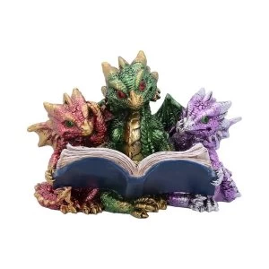 Image of Tales of Fire Reading Dragon Figurine