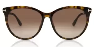 Image of Tom Ford Sunglasses FT0787 MAXIM 52F