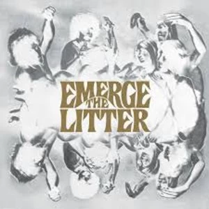 Image of The Litter - Emerge Vinyl