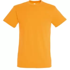 Image of SOLS Mens Regent Short Sleeve T-Shirt (L) (Apricot)