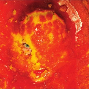 Image of Wackelkontakt - Heal The Split Vinyl