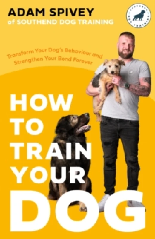Image of How to Train Your Dog : Transform Your Dogs Behaviour and Strengthen Your Bond Forever Paperback / softback