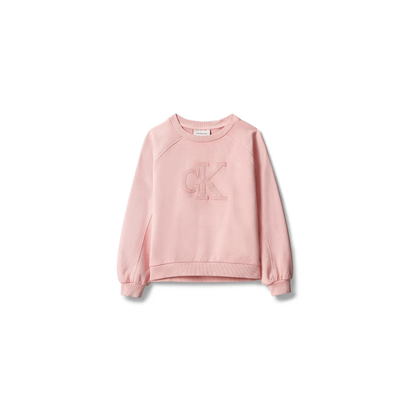 Image of Calvin Klein Jeans CKJ Logo Sweatshirt Jn62 Quartz Pink TFL female 12Y