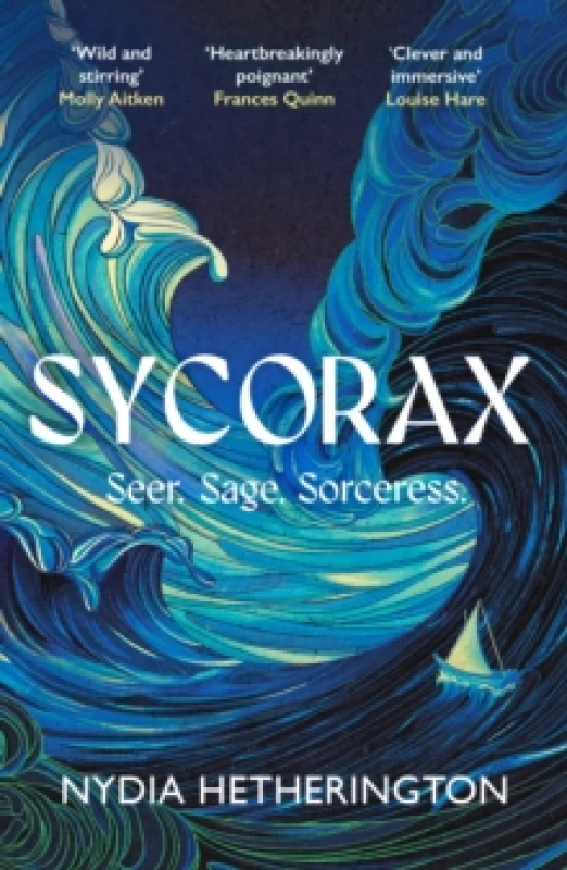 Image of Sycorax : a captivating reimagining of Shakespeare's most powerful witch Paperback / softback