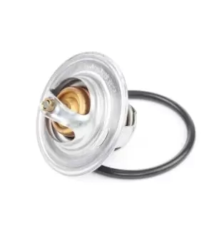 Image of CALORSTAT by Vernet Engine thermostat Opening Temperature: 87°C TH6276.87J Thermostat, coolant,Thermostat VW,AUDI,SKODA,Golf IV Schragheck (1J1)