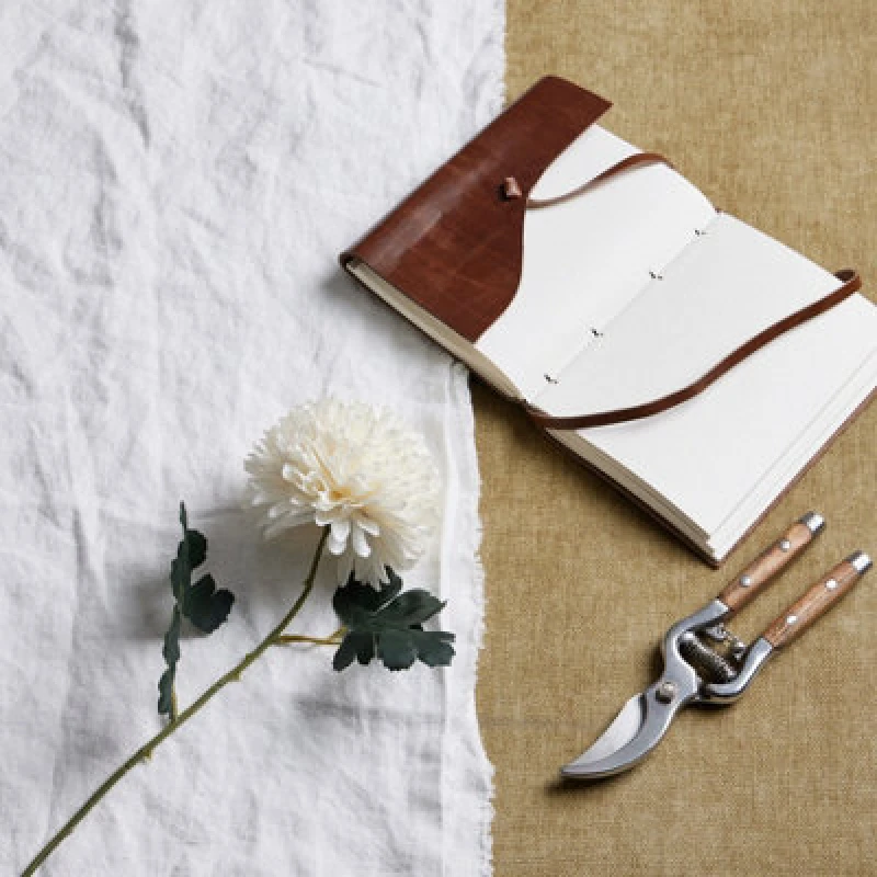 Image of White Chrysanthemum