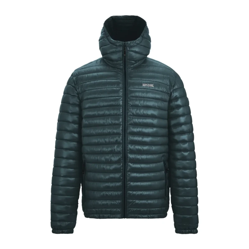 Image of Down jacket Regatta Hurden Bleu Male S