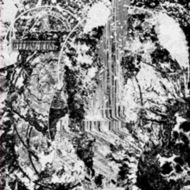 Image of Weeping Icon Vinyl