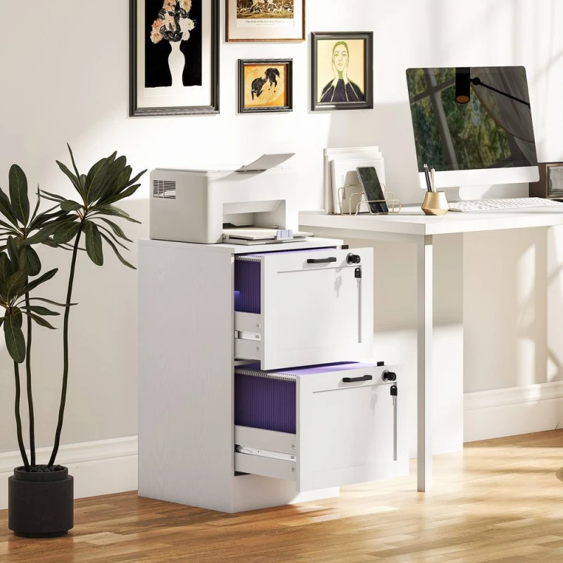 Image of HOMCOM 2-Drawer File Cabinet, Lockable Filing Cabinet for A4 Letter, White White Unisex