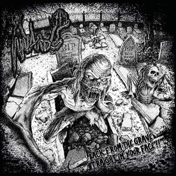 Image of Innards ( Portugal) - Back from the Grave, Straight in Your Face CD