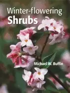 Image of winter flowering shrubs