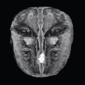 Image of Die Gesange Des Maldoror by Hans Joachim Irmler/Carl Oesterhelt/Modern String Quartett Vinyl Album